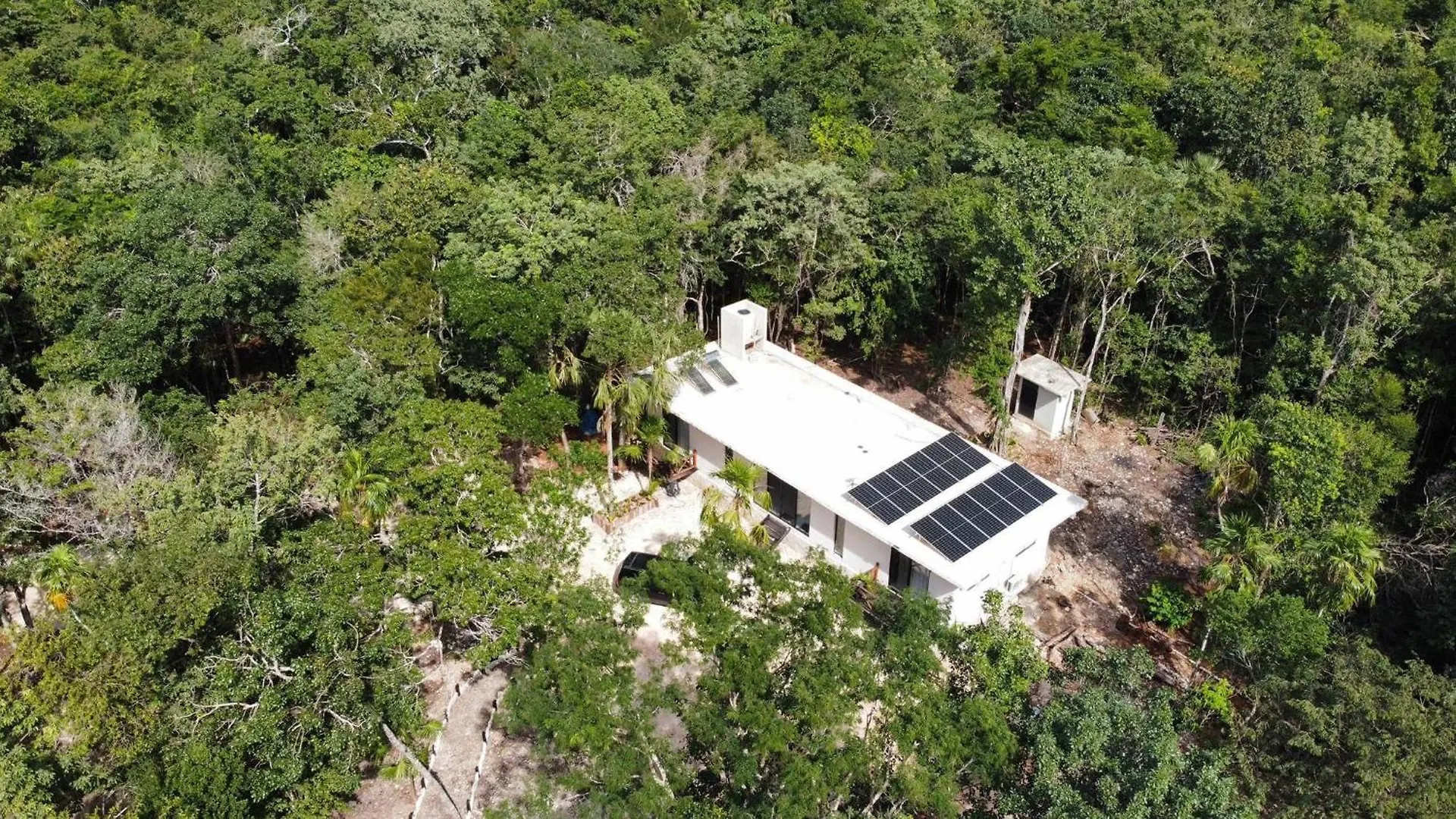 Villa San Andres The Unique Private Jungle Villa Solferino
